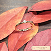 オーダーメイドの婚約指輪制作例
