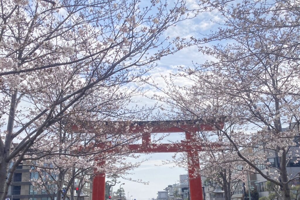 【4月の営業日】いよいよ鎌倉も花ざかり!